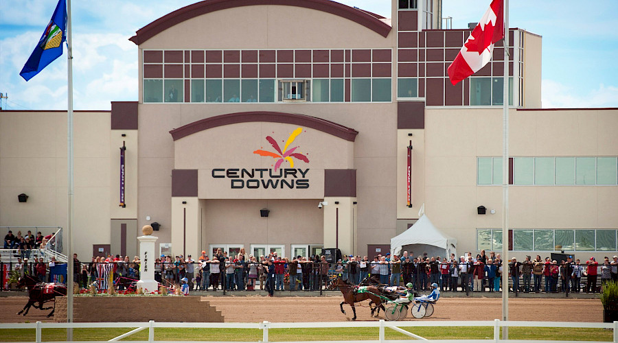 A crowd watching horse racing on the tracks on the Century Downs Casino.