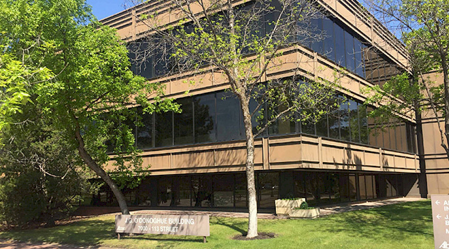 Trees in front of the exterior of the J.G. O'Donoghue building.