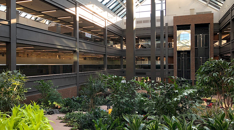 Multiple green plants in the centre of a two story building underneath large skylights.