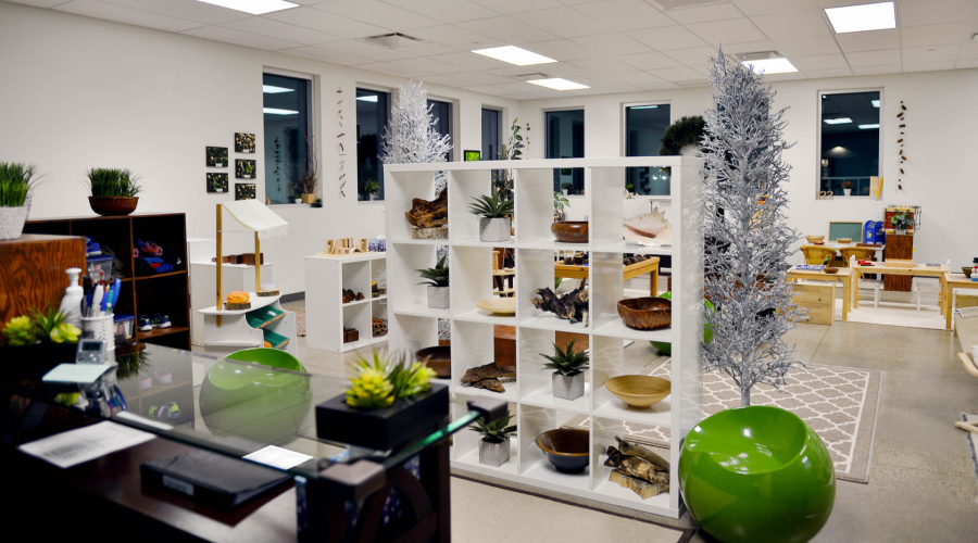 A white room decorated with small trees, plants, and wood pieces.