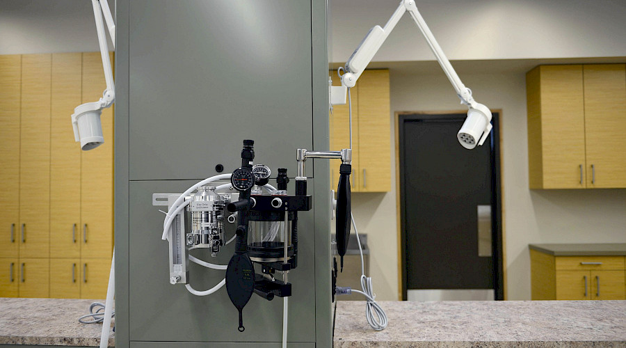 Veterinary tools attached to the wall with cupboards along the wall in the background.