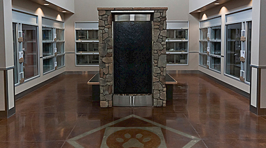 A paw print in the floor of a room with a stone water feature in the middle surrounded by windows on the walls.