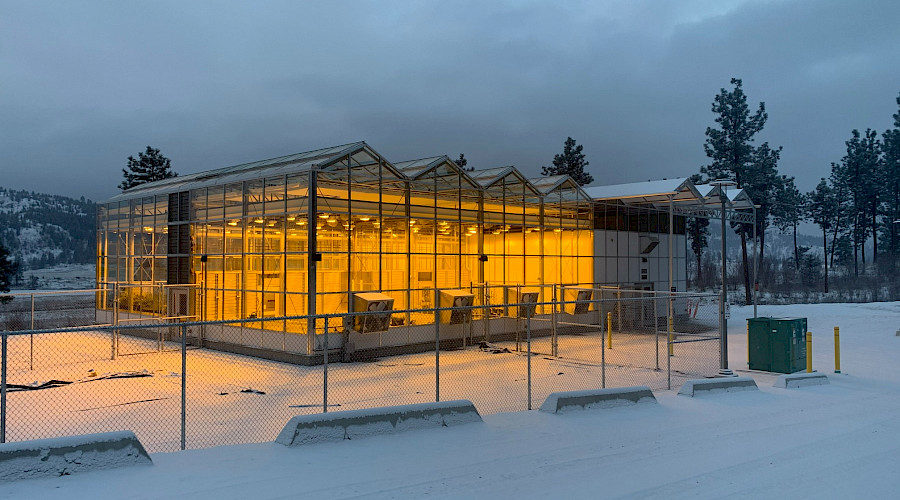 A greenhouse lit up inside on a grey, snowy day.