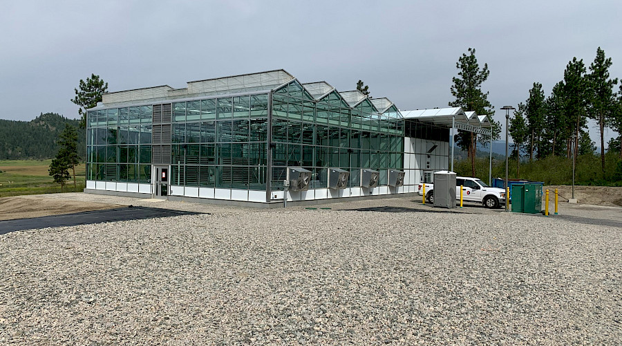 A long pebble driveway in front of a large greenhouse.