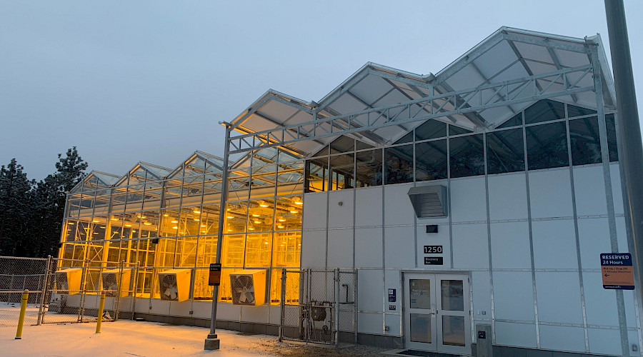 The exterior of a greenhouse lit up in the evening.