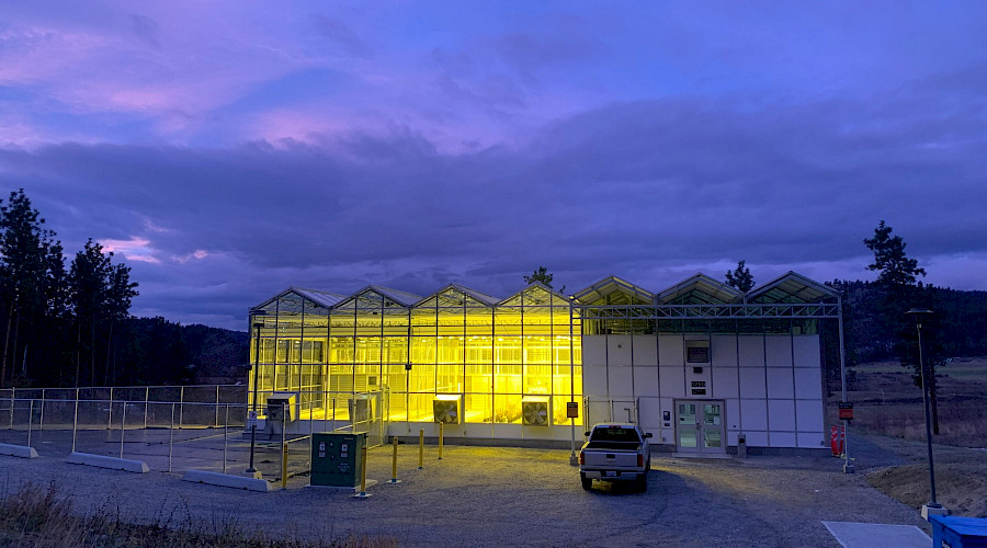 A greenhouse lit up inside at night with a dark purple sky in the background.