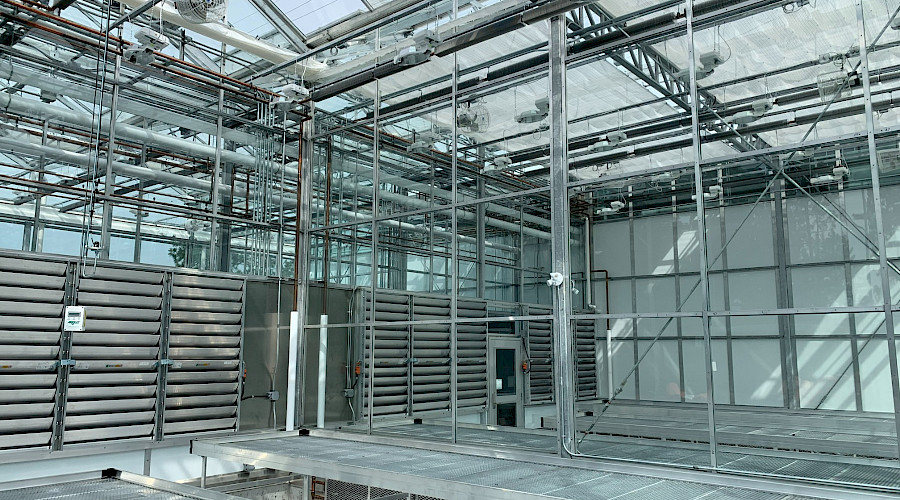 The interior of an empty greenhouse.