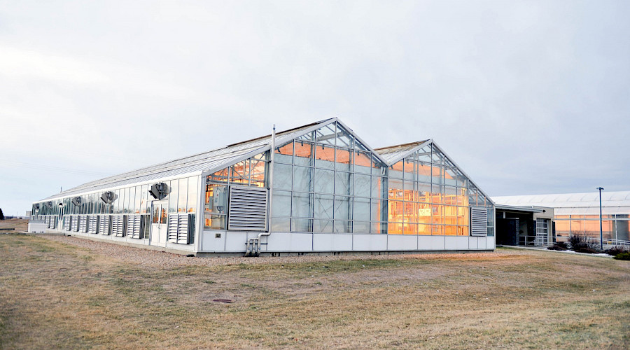 The exterior of the Brooks greenhouses lit up inside.