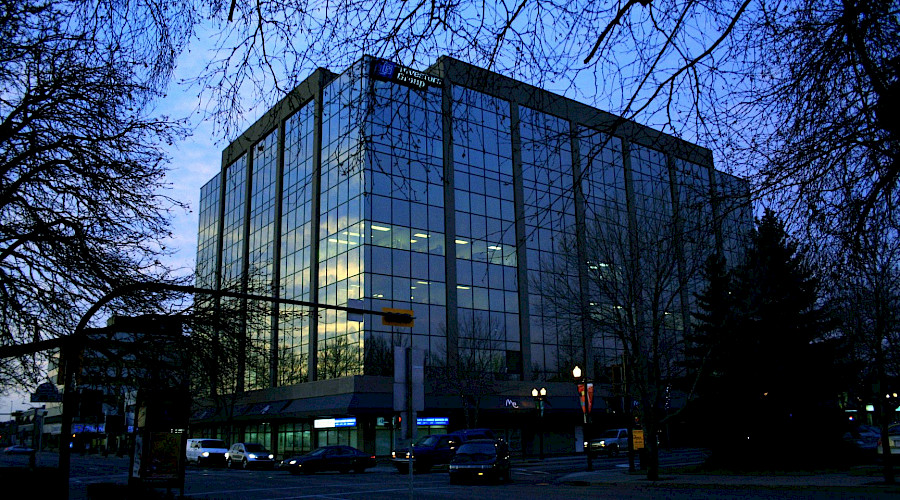 Trees surrounding cars on a busy road in front of a glass building at night.