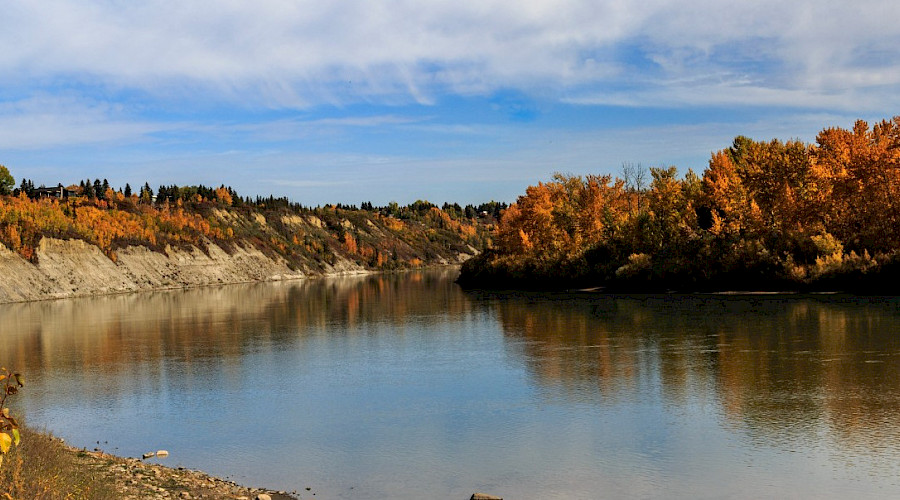 A wide shot of the North Saskatchewan river in between orange and yellow trees in Drayton Valley during fall.