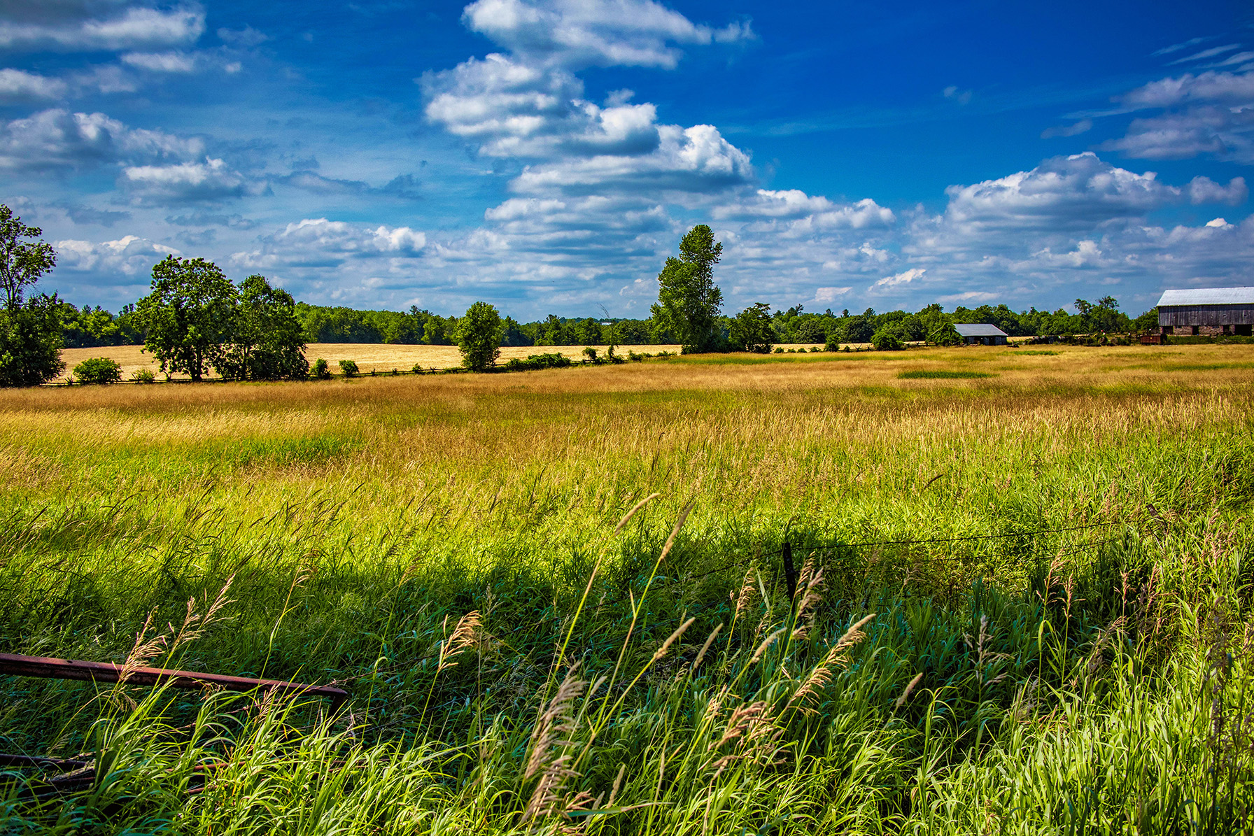 A photo of a field of green grass with a cloudy blue sky in the background.