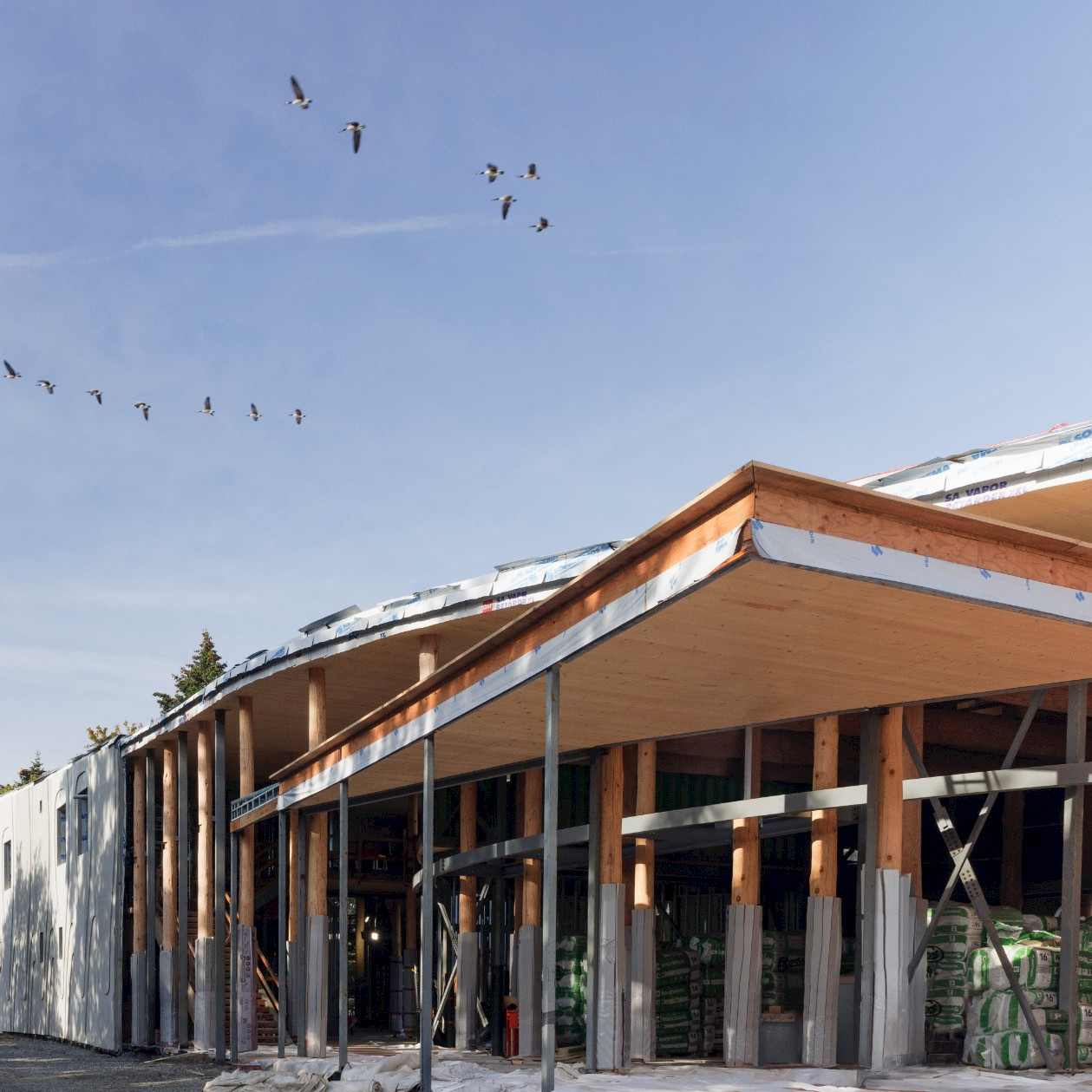 Image of construction in progress at the National Centre for Indigenous Laws in Victoria, BC, built by Chandos Construction Vancouver