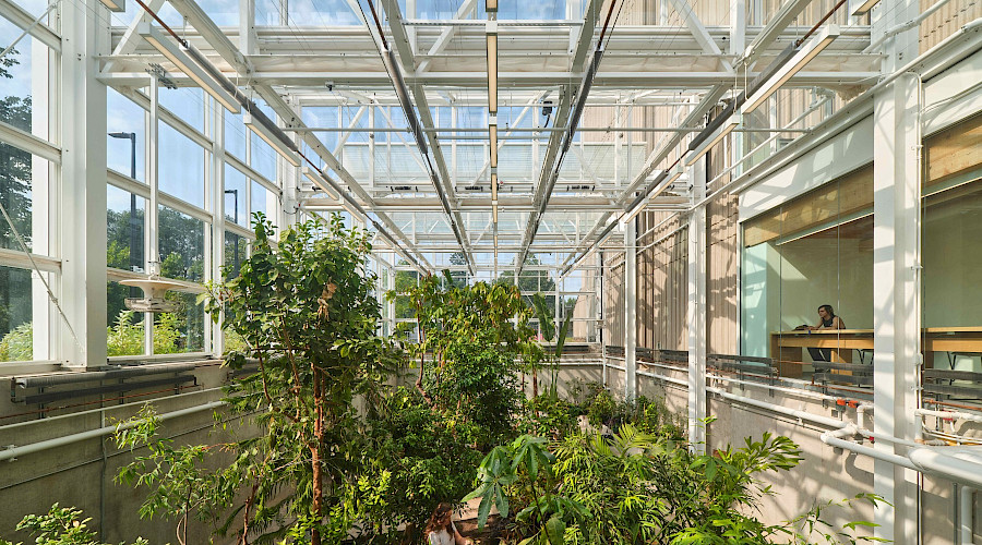 Interior shot of the new McMaster Greenhouse in Hamilton, Ontario, built by Chandos Construction Toronto