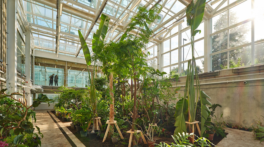 Interior shot of the new below-grade McMaster Greenhouse in Hamilton, Ontario, built by Chandos Construction Toronto