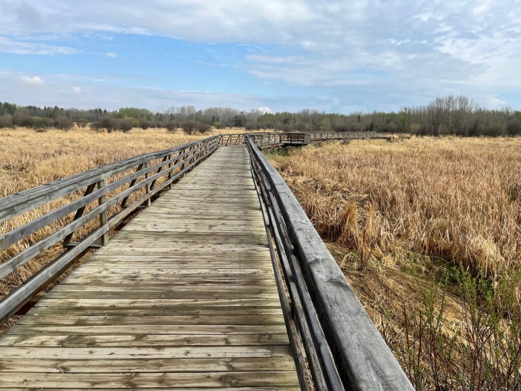 Aspen Beach Provincial Park